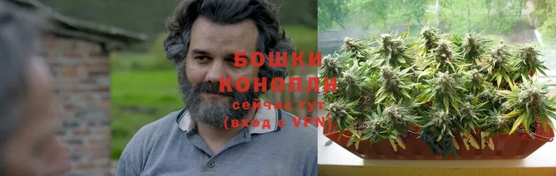 продажа наркотиков  Псков  МАРИХУАНА OG Kush 